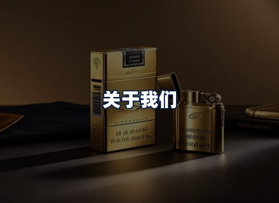 关于我们